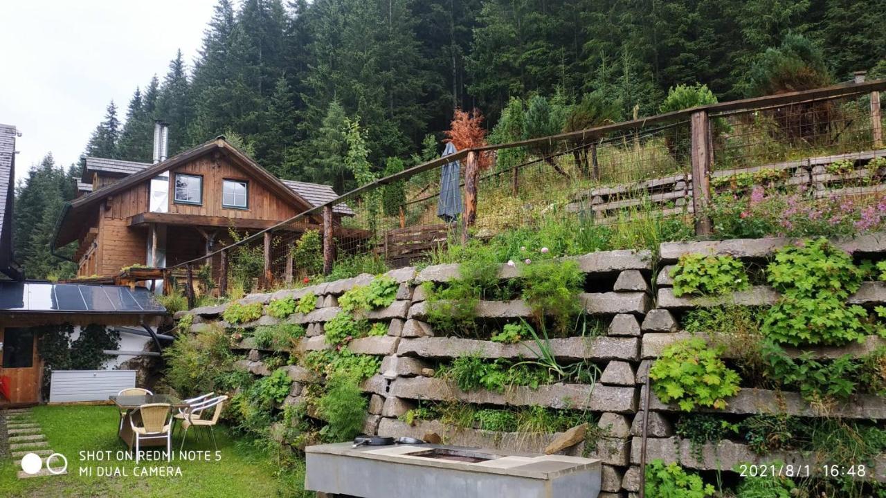 Steiermark Chalet