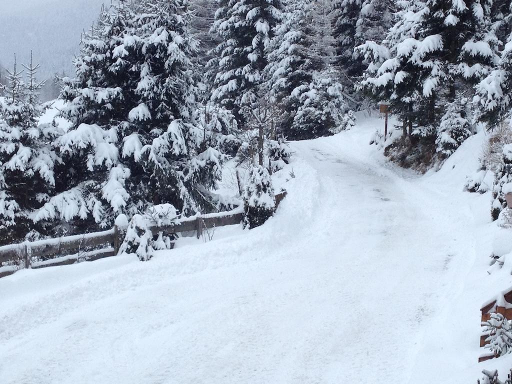 Steiermark Pusterwald