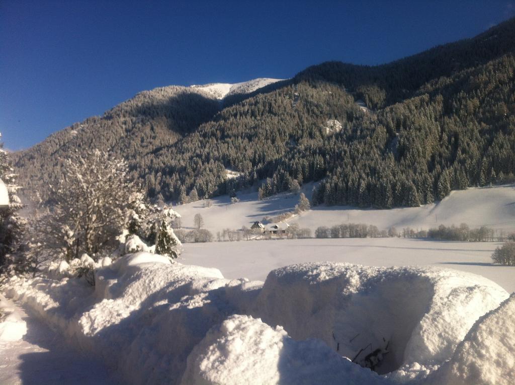 Chalet Steiermark